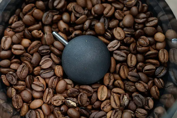 Wake Up Smart Home Coffee Roaster
