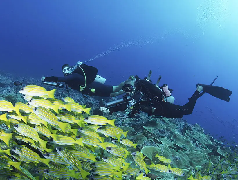 Waydoo Subnado - World's Most Compact Underwater Scooter