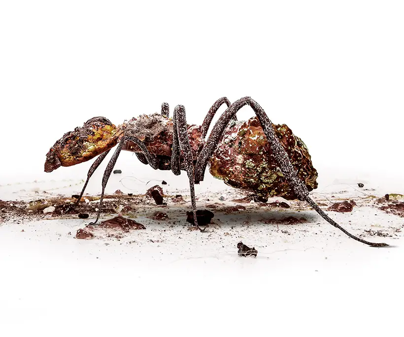 World Design Rankings 2020-2021 - Insect Sculptures Advertising by Chris Slabber