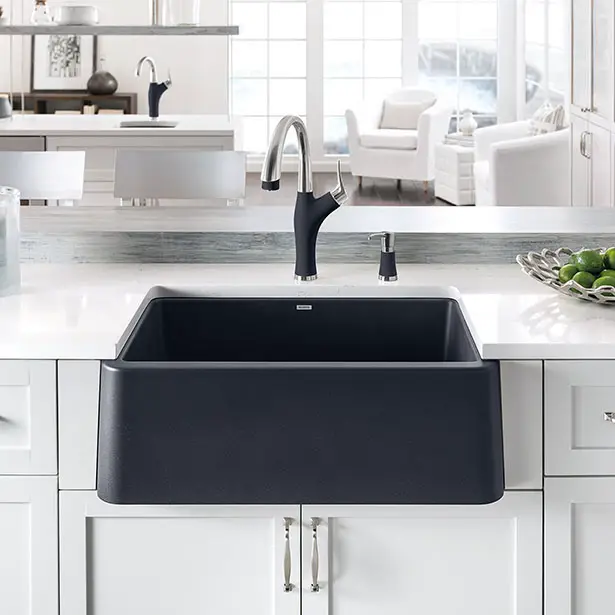 Blanco Ikon Kitchen Sink by Tim Maicher & Brigitte Ziemann - United States