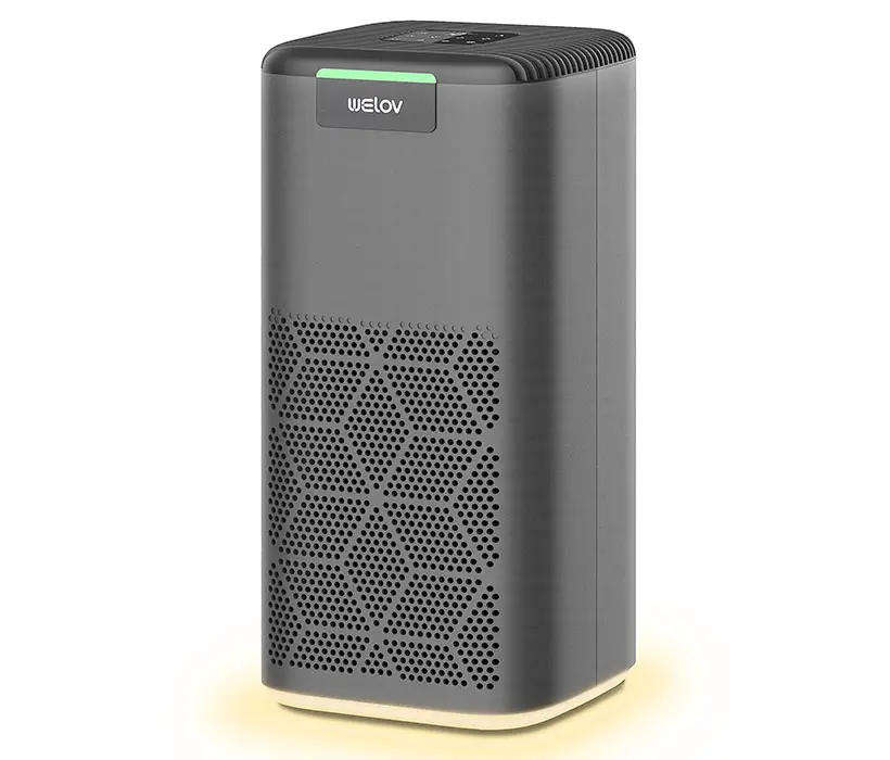 Welov P200S H13 HEPA Air Purifier Helps Relieve Pet Allergy