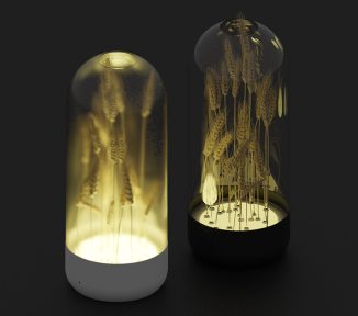 WheatLamp Features Real, Naturally Dried Wheat Plant for A Nature Touch in Your Living Space