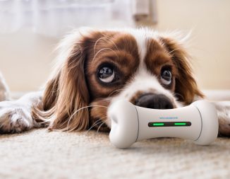WickedBone: Smart and Interactive Dog Toy Keeps Your Dog Busy and Have Fun While You’re Away