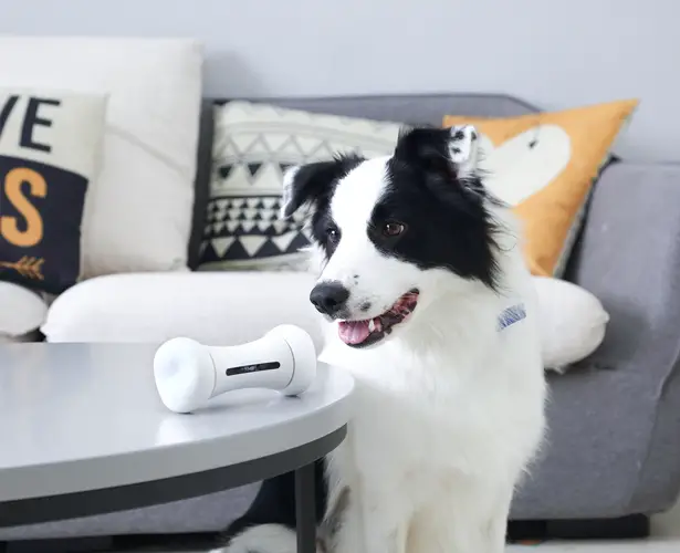 WickedBone: Smart and Interactive Dog Toy - Robotic Dog Toy